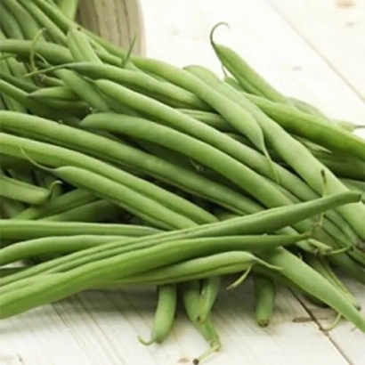 Fresh green beans on a light background - Navajo