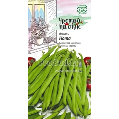 Seed packet of beans variety Nota with image of pods and berries