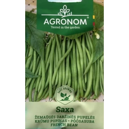 Пакет семян фасоли сорта Saxa от Agronom - Сакса