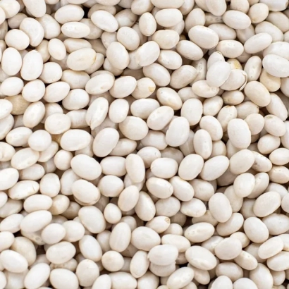 Белые фасоль на фоне - Славия