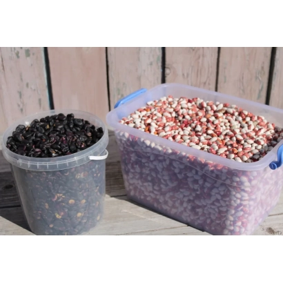 Контейнеры с фасолью: черная и разноцветная фасоль в прозрачных емкостях на деревянном фоне. - СОБРАТ