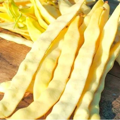 Желтая фасоль Водопад на деревянной поверхности - ВОДОПАД ЖЕЛТЫЙ