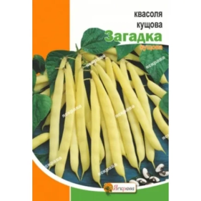 Пакет семян фасоли кустовой Загадка с изображением стручков