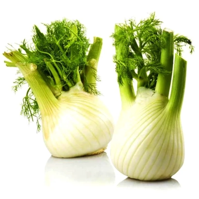 Два цілих плоди фенхеля на білому фоні - ПРЕЛЮДІО