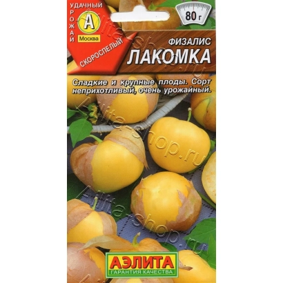 Пакет семян физалиса ЛАКОМКА