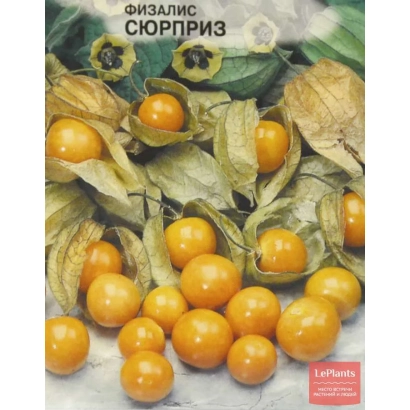 Пакет семян физалиса Сюрприз с изображением оранжевых ягод