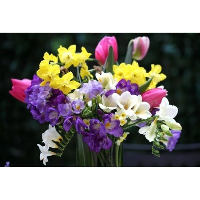 Bouquet of Freesia with pink, yellow, white, and purple flowers in a clear vase. - Ritsa