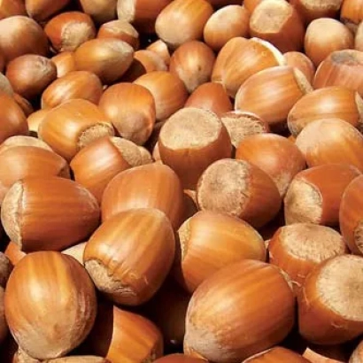 Close-up of hazelnuts (filberts) with no visible product name - Borovsky