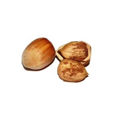 Hazelnut shell (Istarski Duguljasti)