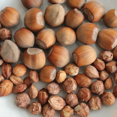 A pile of hazelnuts and filberts on a white background - STOROZHYNETS'KYI