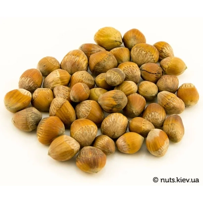 Горсть лещини на білому фоні - ВУТ