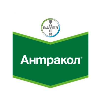 Логотип Bayer с названием продукта Антракол на зеленом фоне - Антракол 70 WG