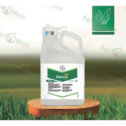 Фунгицид Ascra Xpro 260 EC в канистре на деревянной подставке