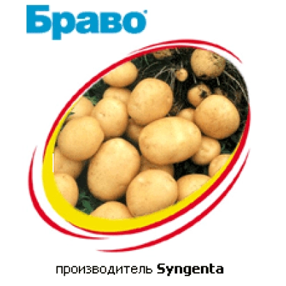 Секция с картофелем и логотипом БРАВО от Syngenta - БРАВО, КС
