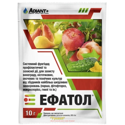 Системный фунгицид ЕФАТОЛ для защиты растений от болезней - Ефатол з.п.