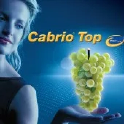 Брендированное изображение продукта Cabrio Top с гроздью винограда на фоне - Кабрио Топ