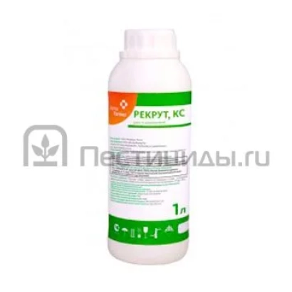 Bottle of fungicide Recruit, KS on white background