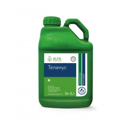 Green jug with label Telmus