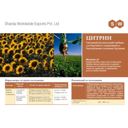 Документ з зображенням соняшника та назвою Цитрин