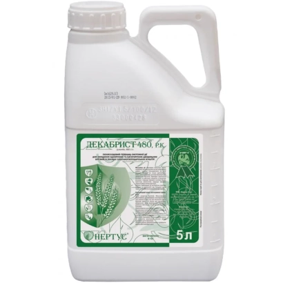 Белая канистра с этикеткой Декабрист 480