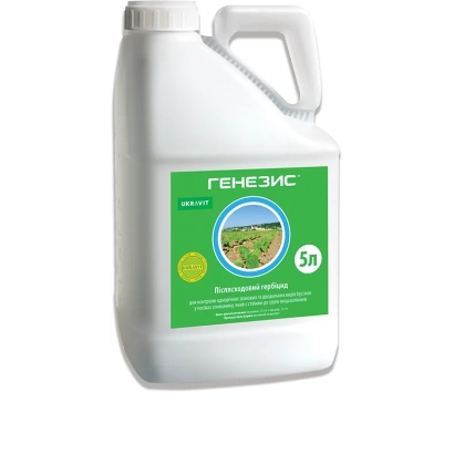 Генезис, РК