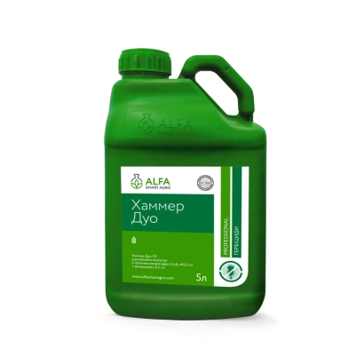 Молот Дуо, СЕ