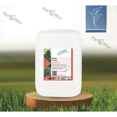 Біла канистра з етикеткою Clock на дерев'яній підставці на фоні зеленої трави - Клок