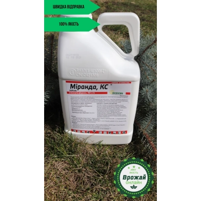 Миранда, КС