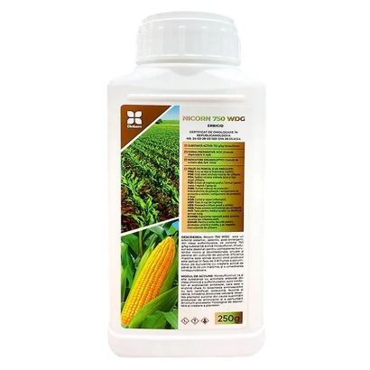 Бутылка с гербицидом НИКОРН (NICORN) на фоне поля кукурузы