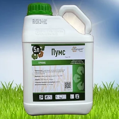 White jug with green cap and label «Pums» on grass background