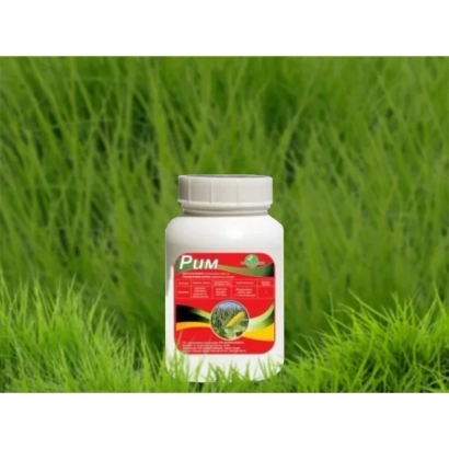 Бутелечка з гербіцидом PUM на фоні зеленої трави - Рим