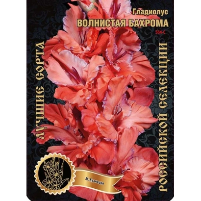 Сорт гладиолуса Волнистая бахрома на упаковке семян