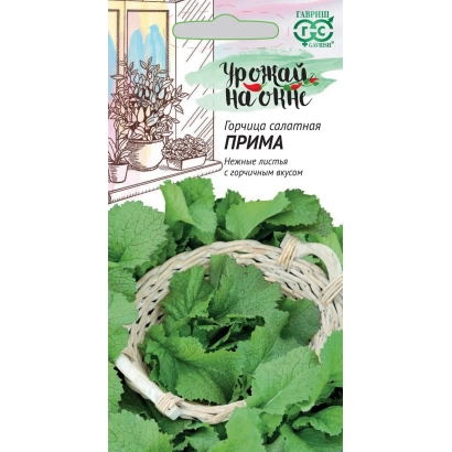 Seed packet of mustard variety Prima with image of leaves and basket