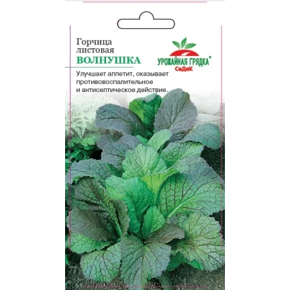 Пакет насіння гірчиці Волнушка з зображенням рослини - ВОЛОВИК