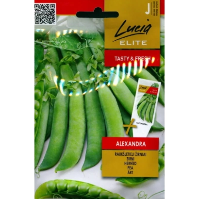 Seed packet of vegetable pea ALEXANDRA - Aleksandra