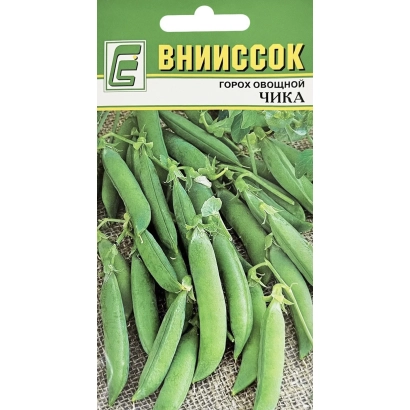 Seed packet of vegetable pea CHIKA