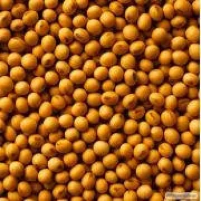 Горох овощной на фоне - Медисон