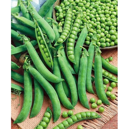 Свежий горох овощной в стручках и зернах на деревянной поверхности - Урбана