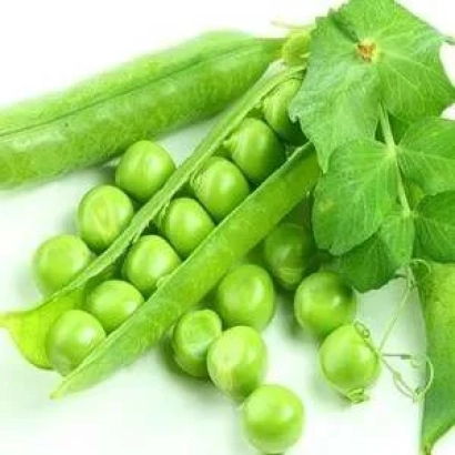 Fresh peas in pods on a white background - Audit