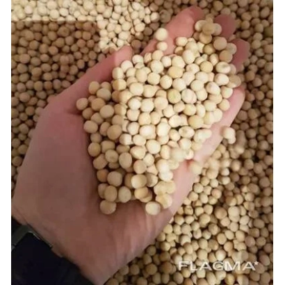 Рука держит горошины на фоне зерна Балкан