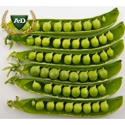 Green pea pods with A&D logo - Bosfor