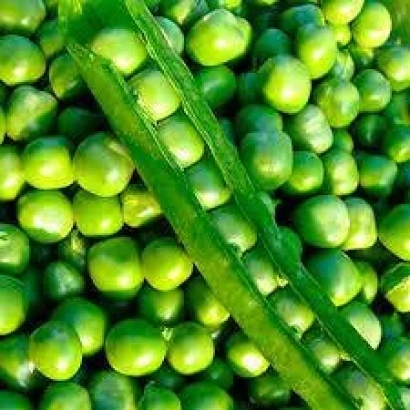 Green peas and a pea pod on a background - ESO