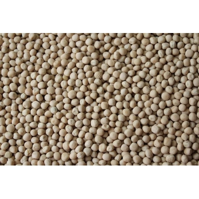 Горох у великому плані - Ґреґор