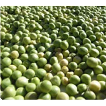 Зелёные горошины на поверхности - Харди