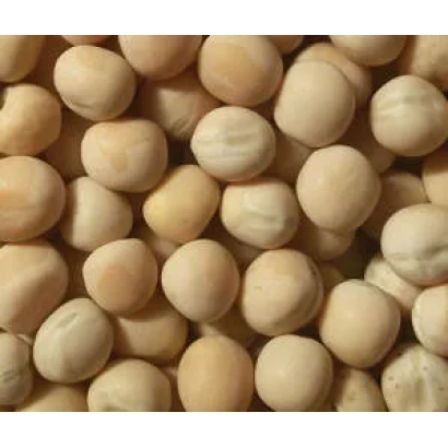 Горох в крупном плане - Меценат