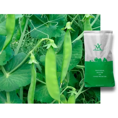 Пакет з насінням гороху на фоні зелених стручків та листя - НІКОЛКА