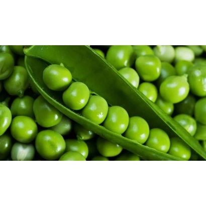 Зелені горошини в стручках на фоні гороху - Тіп