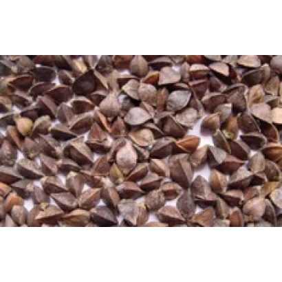 Гречка на білому фоні - Калинівна