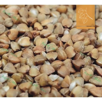 Крупинка — гречка крупного помола