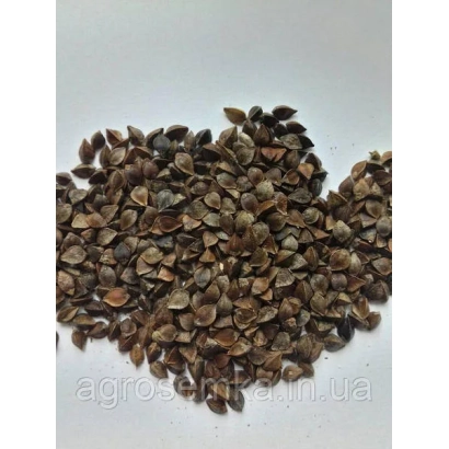 Гречка на белом фоне - Надийна